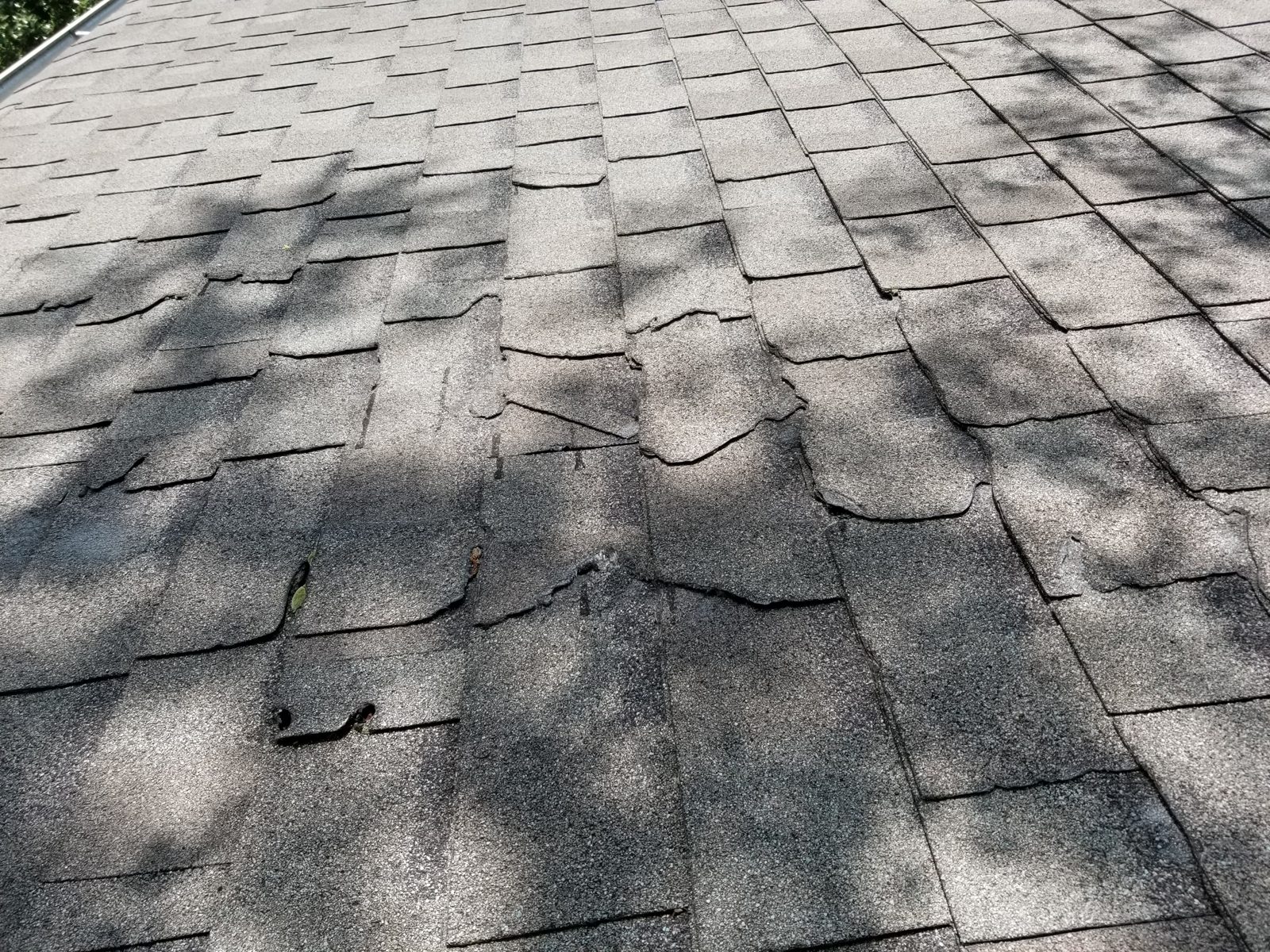 Close-up of curled, cracked asphalt shingles showing real roof damage