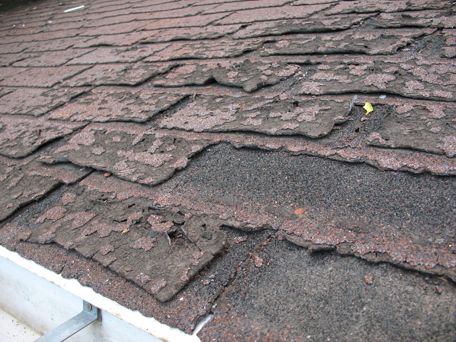 Severely deteriorated asphalt shingles with granule loss and curling